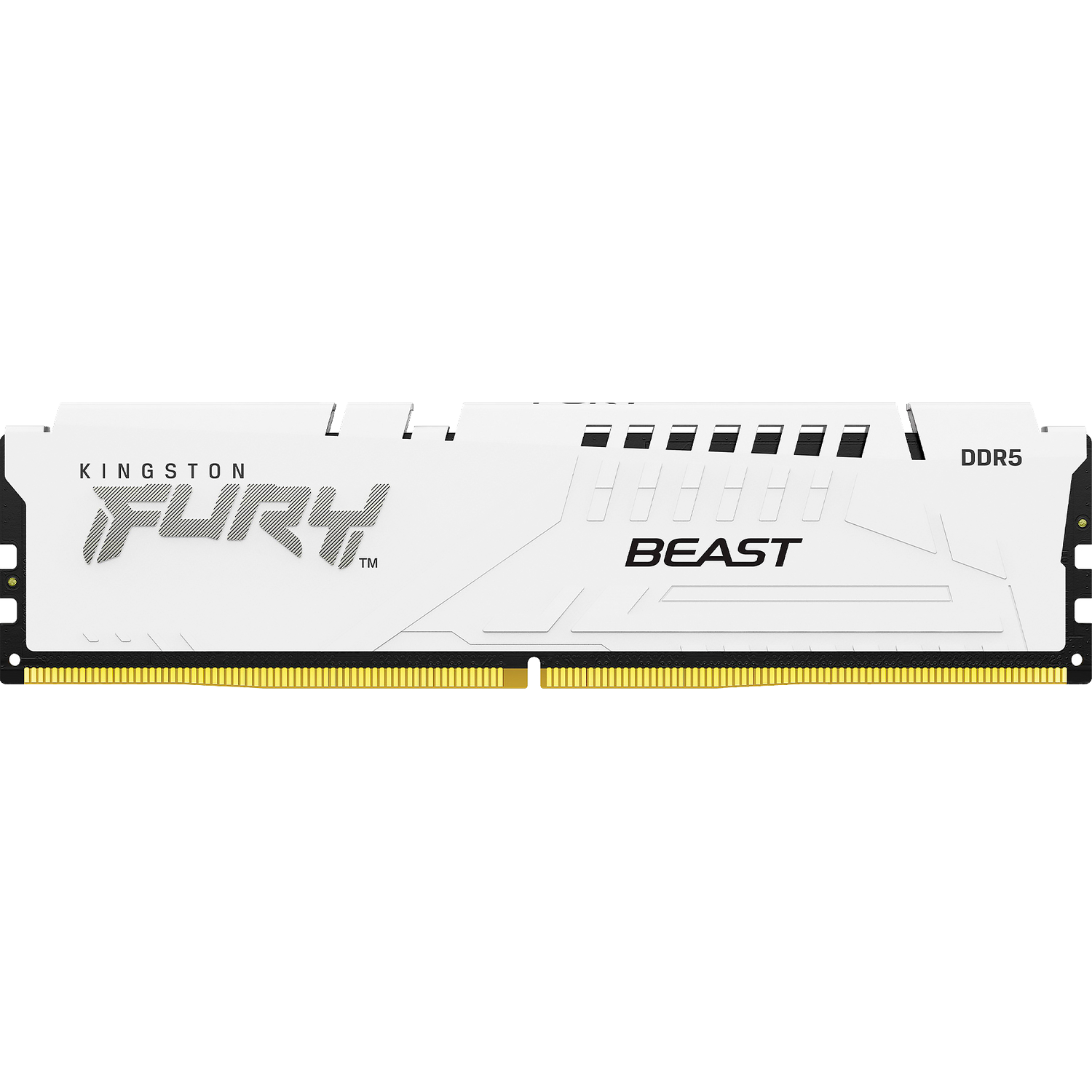 Память оперативная Kingston FURY Beast KF556C36BWE-32