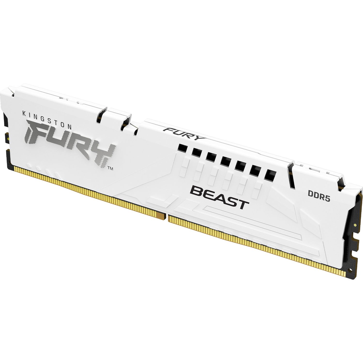 Память оперативная Kingston FURY Beast KF556C36BWE-32