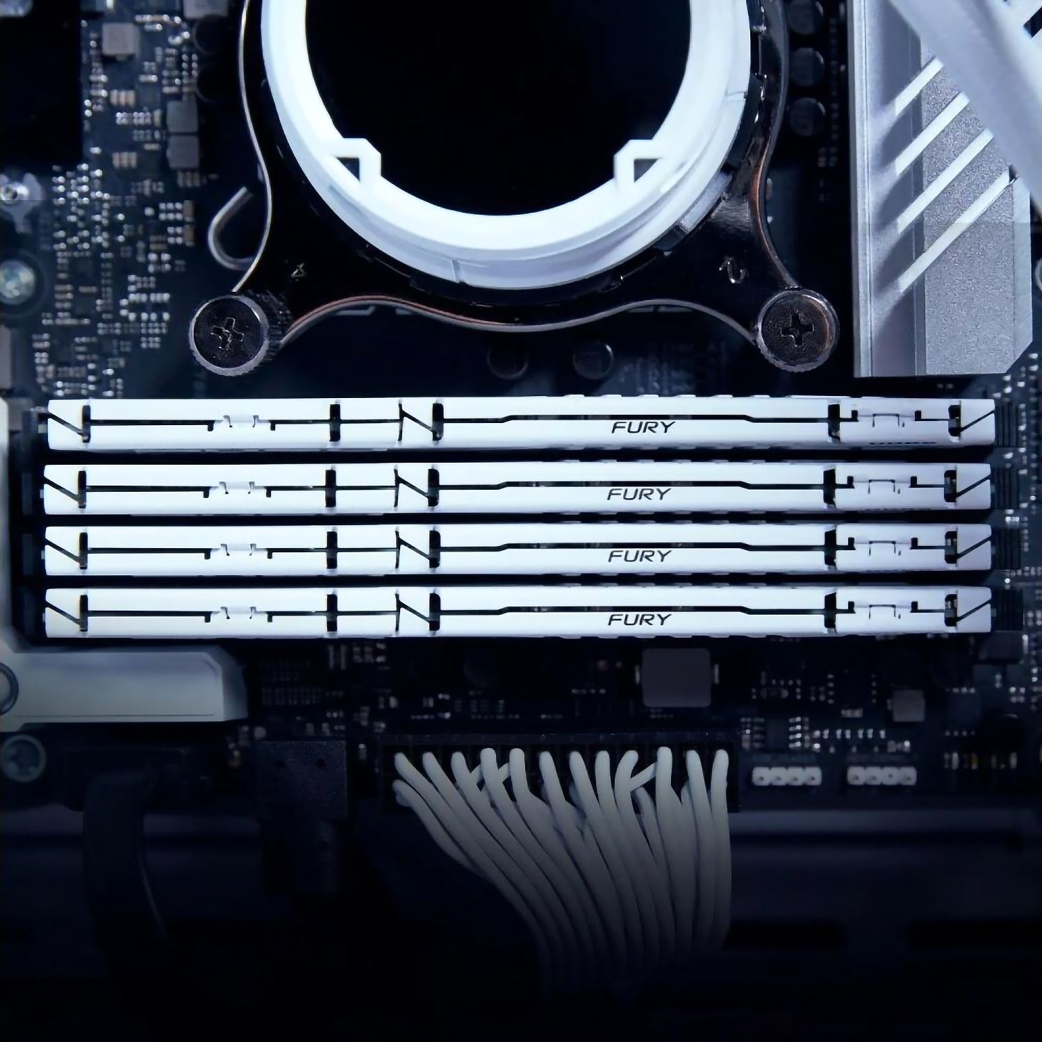 Память оперативная Kingston FURY Beast KF556C36BWE-32